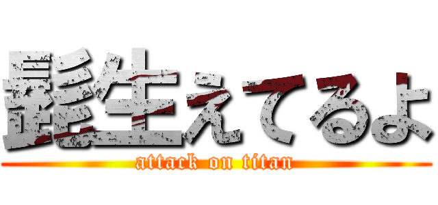 髭生えてるよ (attack on titan)