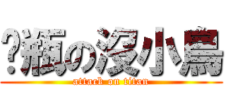 奶瓶の沒小鳥 (attack on titan)
