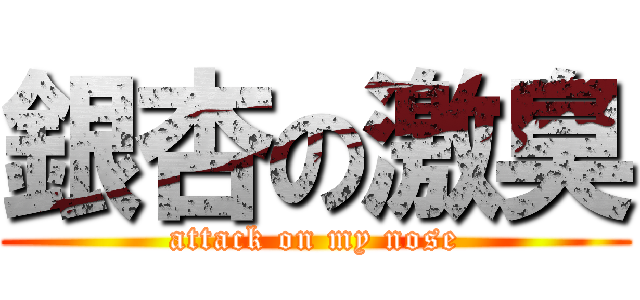 銀杏の激臭 (attack on my nose)