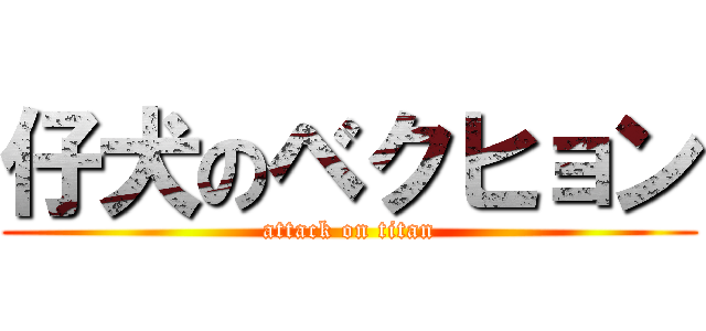 仔犬のベクヒョン (attack on titan)