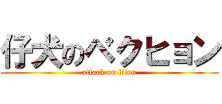 仔犬のベクヒョン (attack on titan)