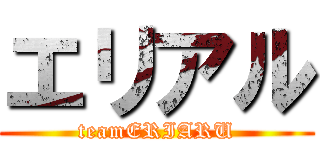 エリアル (teamERIARU)