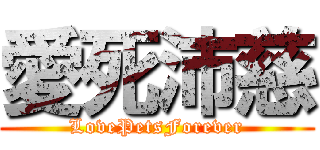 愛死沛慈 (LovePetsForever)