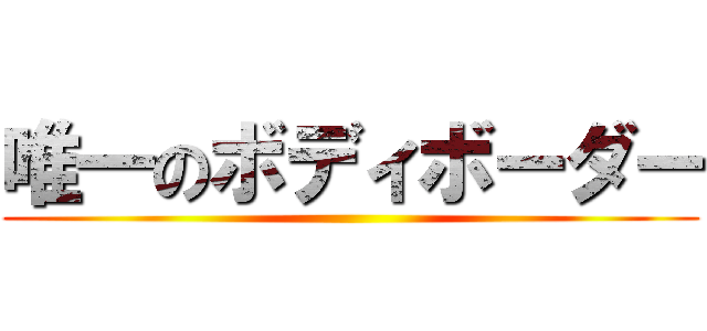 唯一のボディボーダー ()