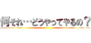 何それ…どうやってやるの？ ()