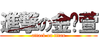 進撃の金芷萱 (attack on titan)