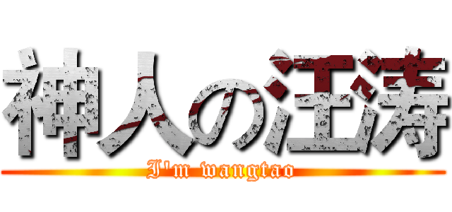 神人の汪涛 (I'm wangtao)