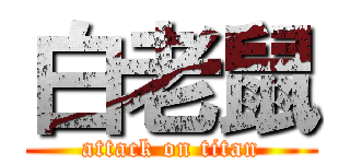 白老鼠 (attack on titan)