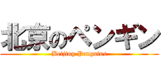 北京のペンギン (Beijing Penguins)