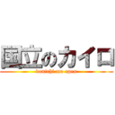 国立のカイロ (donichi mo open)