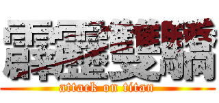 霹靂雙驕 (attack on titan)