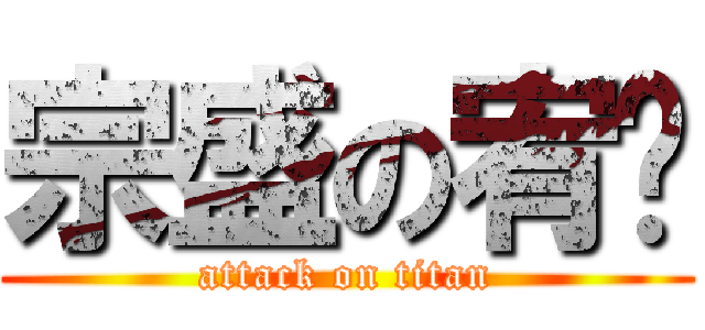 宗盛の宥维 (attack on titan)