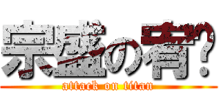宗盛の宥维 (attack on titan)