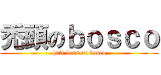 禿頭のｂｏｓｃｏ (hair loss on bosco)