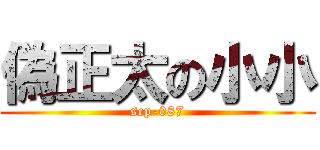 偽正太の小小 (scp-087)