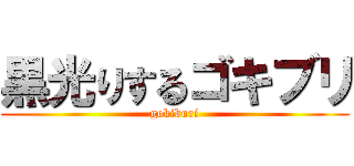 黒光りするゴキブリ (gokiburi)