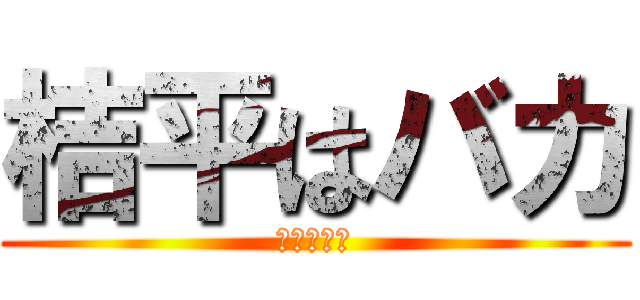 桔平はバカ (嘘だよ！？)