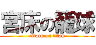 宮床の籠球 (attack on titan)