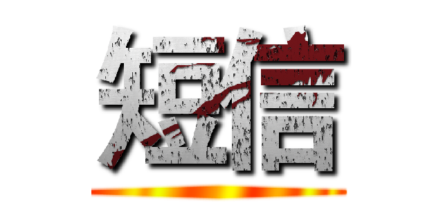 短信 ()