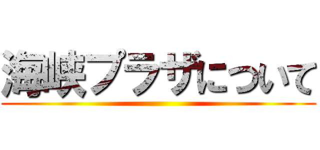 海峡プラザについて ()