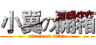 小翼の開箱 (attack on titan)