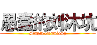愚蠢的刘沐坑 (Stupid liumukeng)