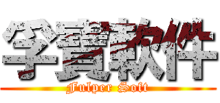 孚寶軟件 (Fulper Soft)