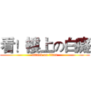 看！樓上の白癡 (attack on titan)
