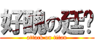 好醜の廷瑋 (attack on titan)