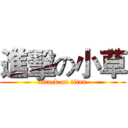 進擊の小草 (attack on titan)