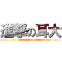 進撃の耳大 (attack on titan)