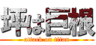 坪は巨根 (attack on titan)