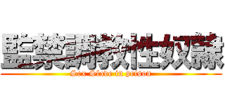 監禁調教性奴隷 (Sex Slave in prison)