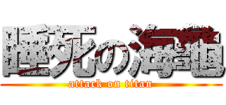 睡死の海龜 (attack on titan)