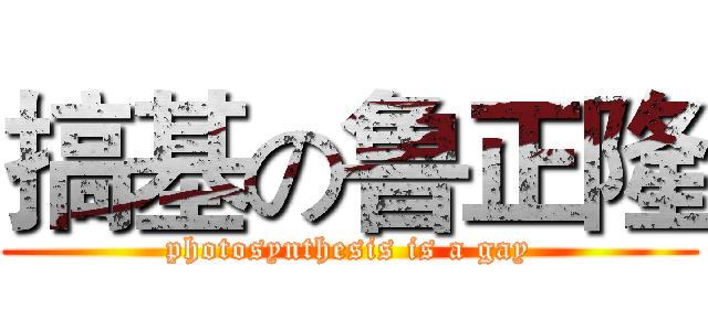 搞基の鲁正隆 (photosynthesis is a gay)