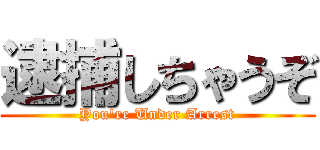 逮捕しちゃうぞ (You\'re Under Arrest)