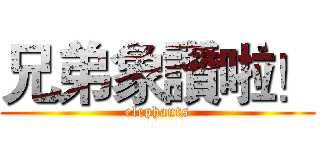 兄弟象讚啦！ (elephants)