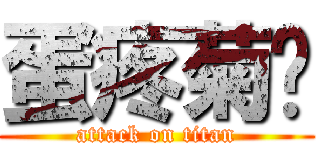 蛋疼菊紧 (attack on titan)