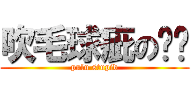 吹毛球疵の噗嚕 (pulu stupid)