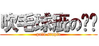 吹毛球疵の噗嚕 (pulu stupid)
