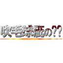 吹毛球疵の噗嚕 (pulu stupid)