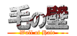 毛の壁 (Wall of Hair)