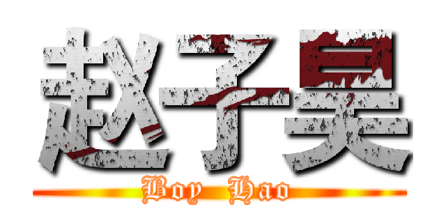 赵子昊 (Boy  Hao)