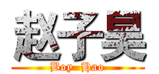 赵子昊 (Boy  Hao)