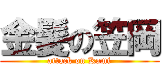 金髪の笠岡 (attack on Kami)