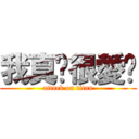 我真ㄉ很愛你 (attack on titan)