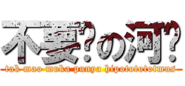 不要脸の河马 (tak mao muka punya hipototototmus)