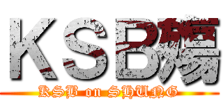 ＫＳＢ殤 (KSB on SHUNG)