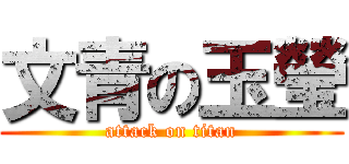 文青の玉瑩 (attack on titan)