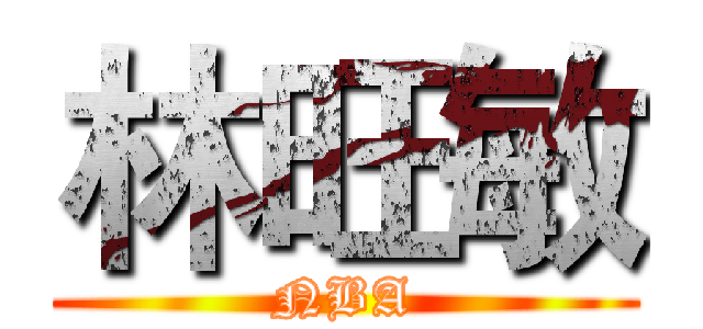 林旺敏 (NBA)